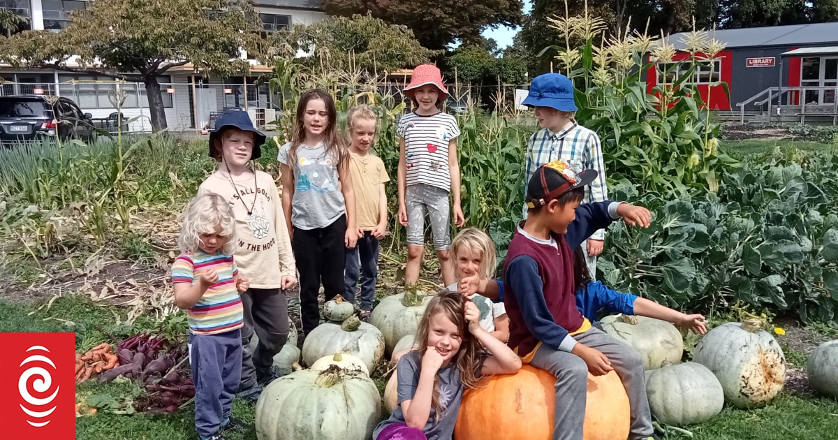 Green learning hub grows on red zone land - Vimarsana News