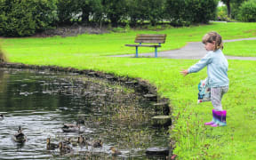 Though she lives across town, youngster Quinn Johnston is a regular visitor and loves to feed the ducks in the area around the edge of the lake that Whakatāne District Council keeps clear of lilies.