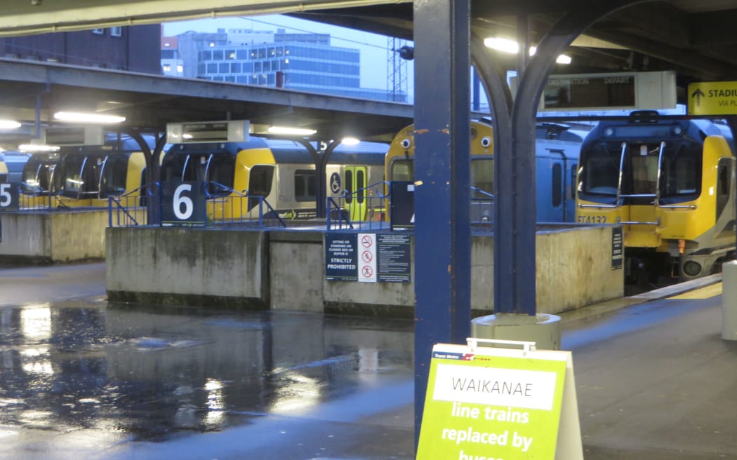 Trains parked up at Wellington Railway Station.