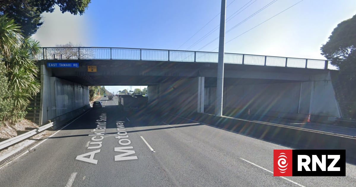 'Reckless': Man pretending to be injured on motorway overbridge arrested