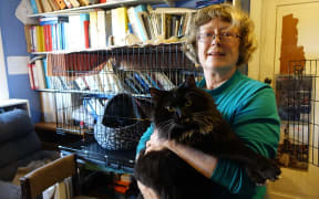 Jane Newman with Thorin, one of the feral toms rescued from the red zone.