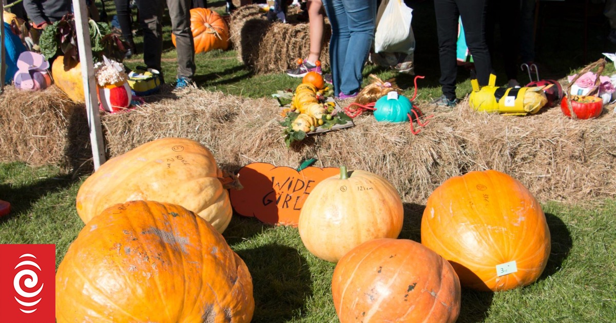 Giant pumpkin festival expected to attract thousands to Banks Peninsula