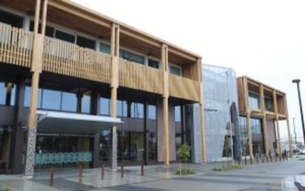 Pigeons are an around $15,000 clean up cost and climbing at Te Whare Whakatere.