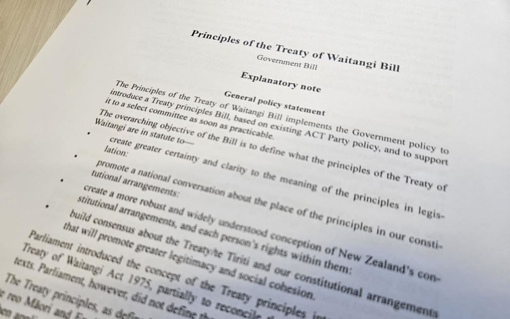 Sheets of paper showing the Principles of the Treaty of Waitangi Bill
