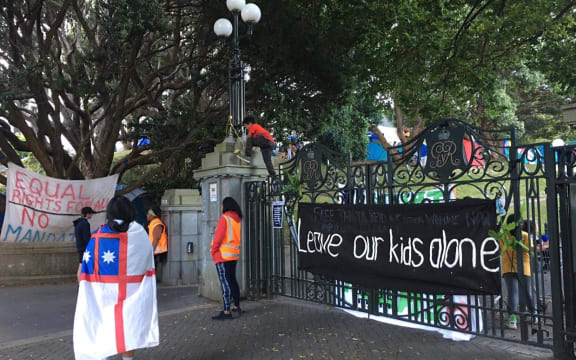 A protestor, draped in the United Tribes flag, walks past the gates of Parliament during the 2022 Anti-Vaccine Mandate protest / occupation.