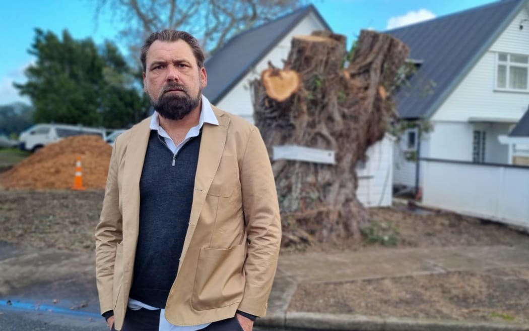 Award-winning designer Michael Mansvelt says the destruction of a 100-year-old pōhutukawa tree in New Plymouth is 'a travesty'.