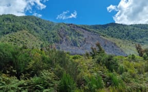 Scrub fire near SH65 near Murchison