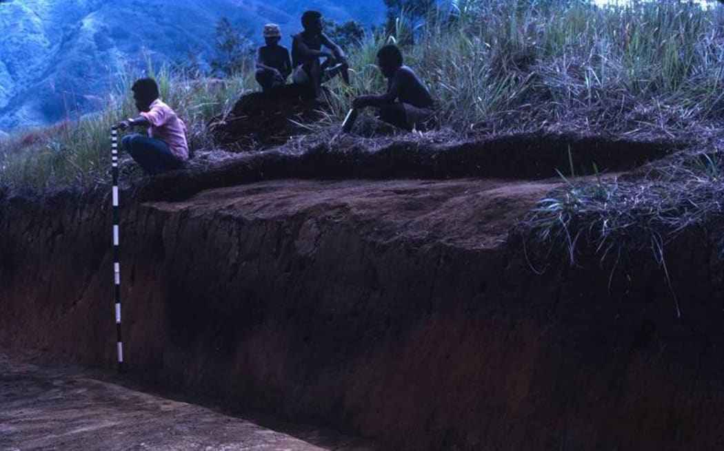 Excavation of Wanelek archaeological site, New Guinea Highlands, in 1972.