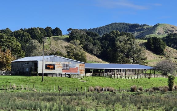 Set on 800-hectares in the Waimai Valley, north of Raglan, four generations of the Reeves family have farmed this land.