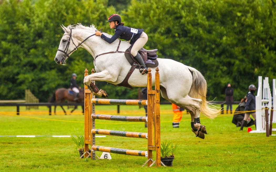 Council approves equestrian park’s $250k irrigation system despite criticism