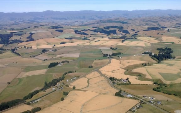 Dry land near Timaru.