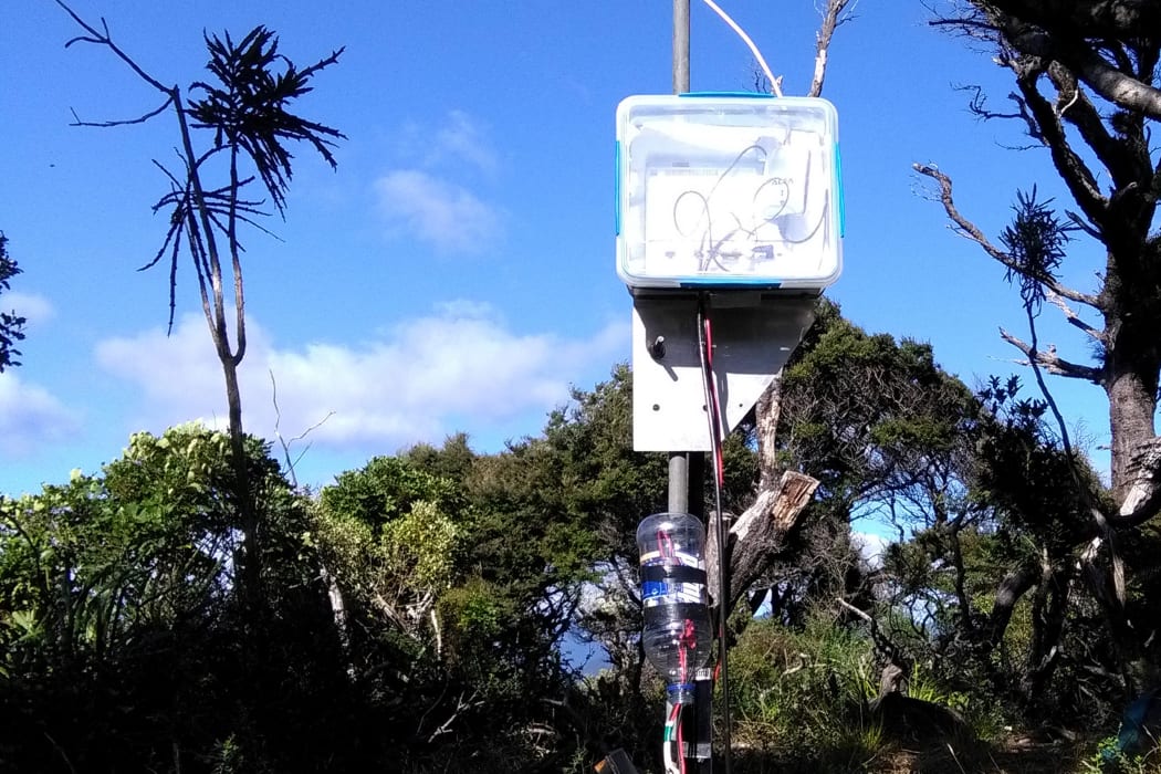 A lunchbox container and water bottle allow a Marlborough Sounds man to connect to a broadband tower, after his dial-up was discontinued.