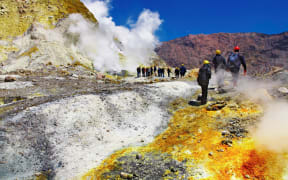 People at the active White Island volcano. (file image)