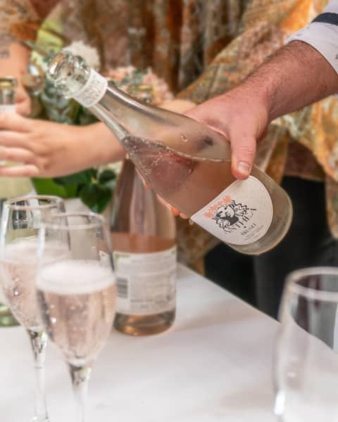 Anthea Blush Botanic Spritz won Label & Litho Drinks Champion.