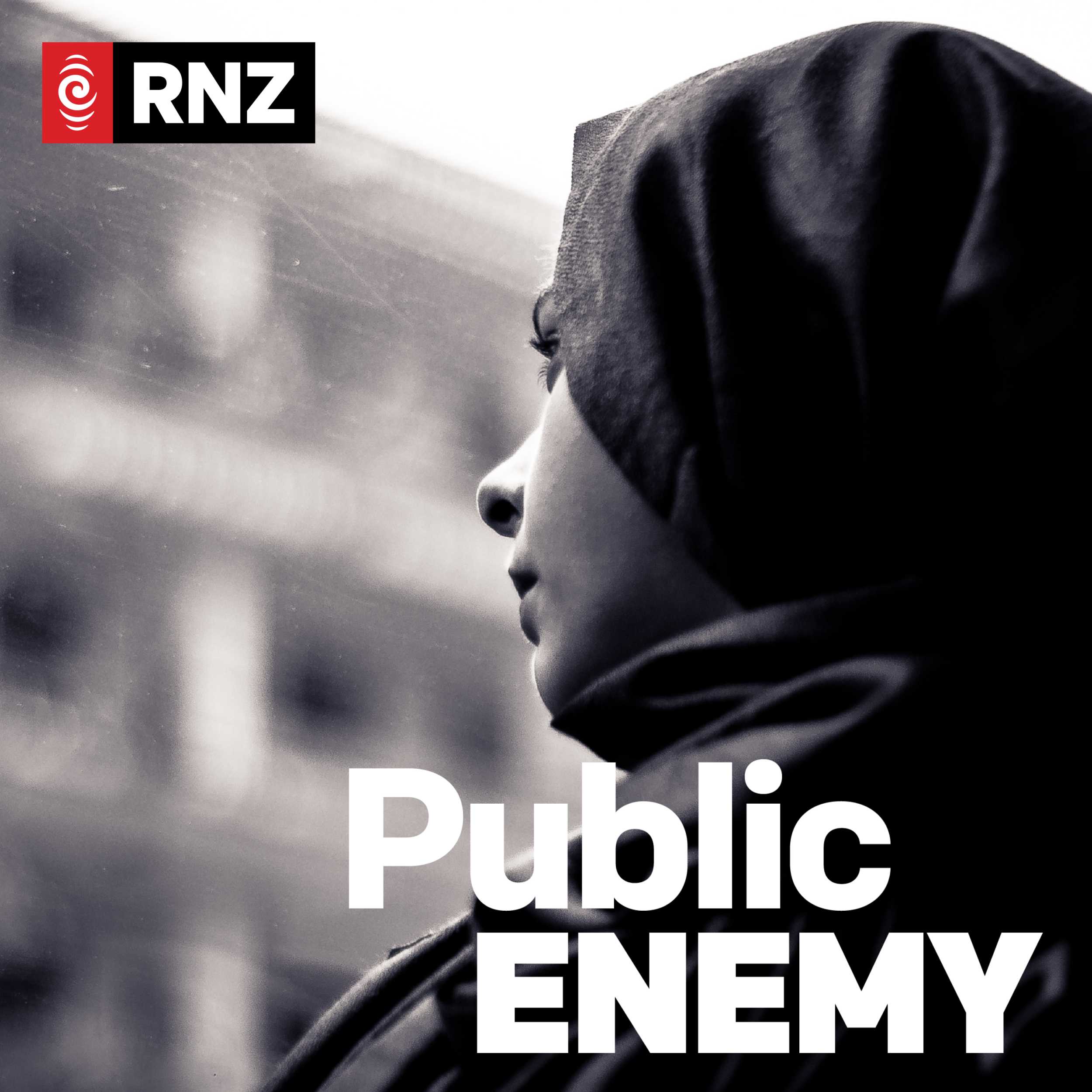 Public Enemy cover