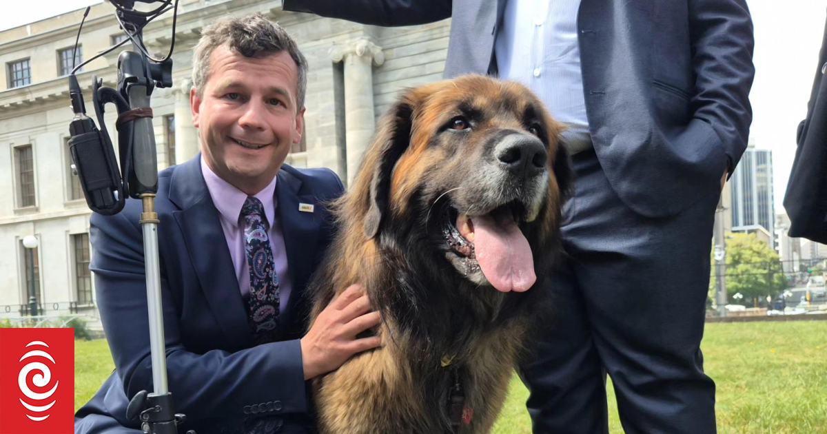 Parliament picnic marks beginning of pet bonds