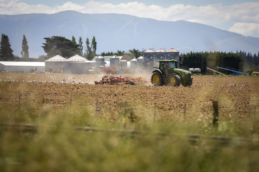 Canterbury region farms