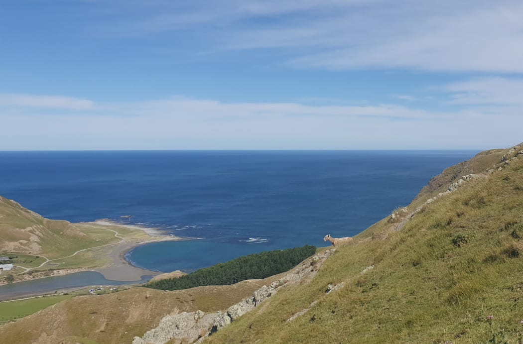 A coastal Wairarapa hill country farm