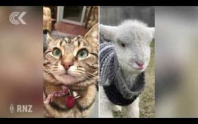 Finding animals alive 'like winning the lotto'