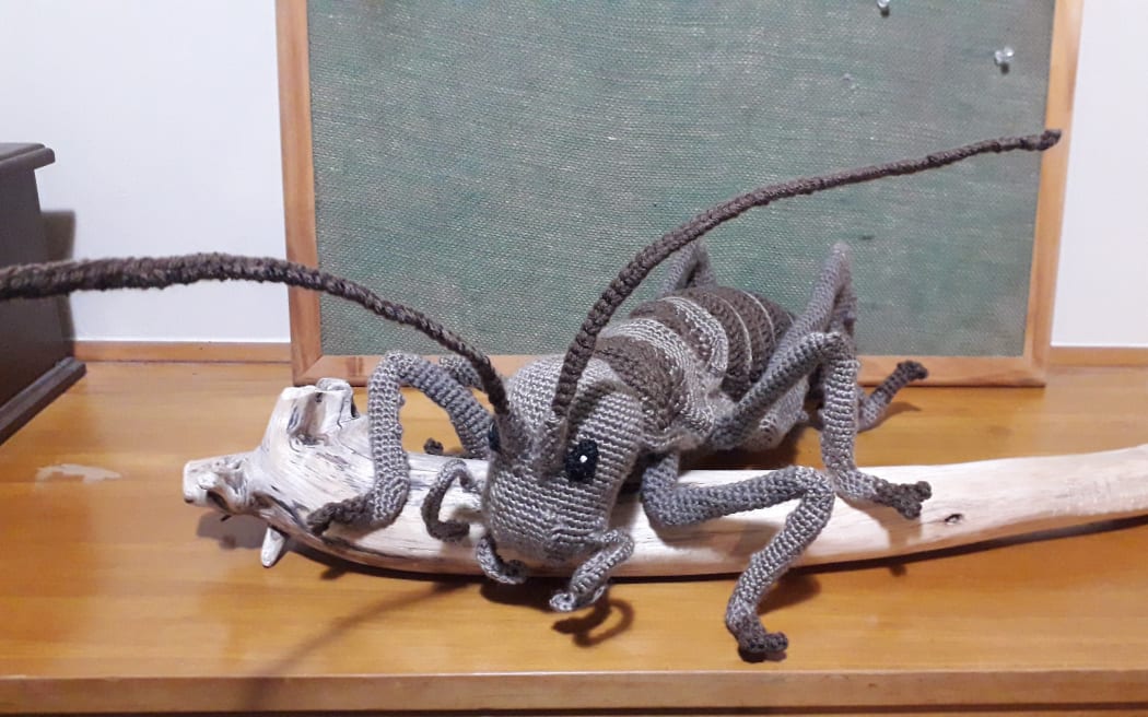 The winning Knit a Critter - Claire Kreavell's Giant Weta