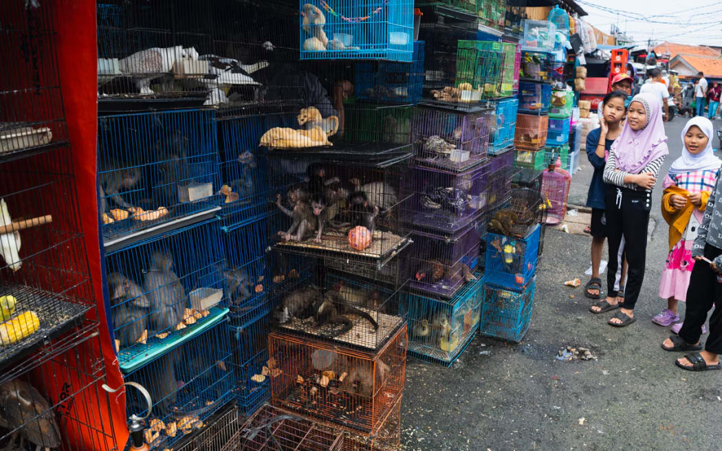 Jatinegara market is one of the city's oldest and most diverse. (ABC Pacific: Prianka Srinivasan)