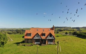 An abandoned mock Tudor-style house sits in a large field surrounded by two palm trees with a flock of pigeons flying overhead.
