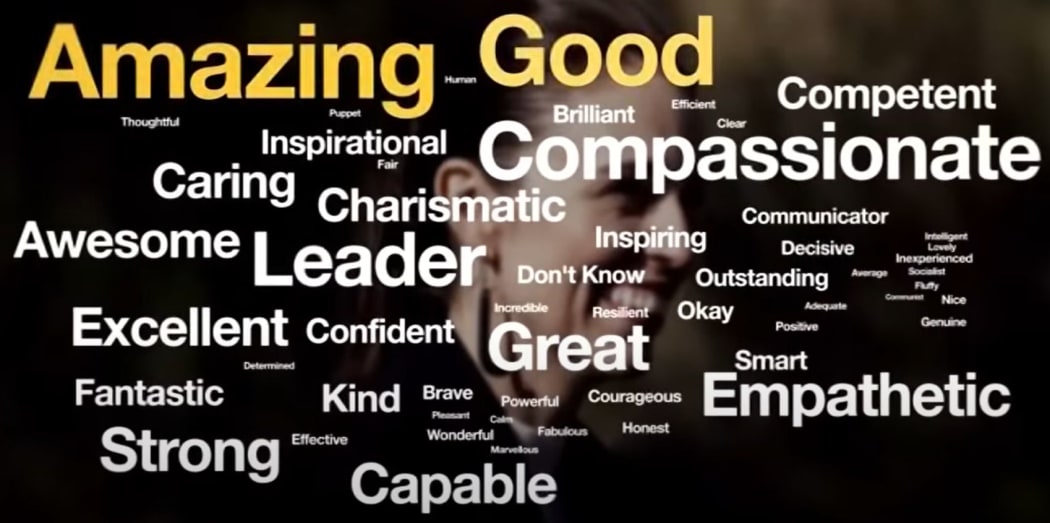 Newshub's word cloud created by pollster Reid Research.