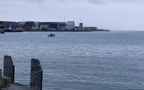 A search is underway in Wellington Harbour for a passenger who appears to have fallen overboard.