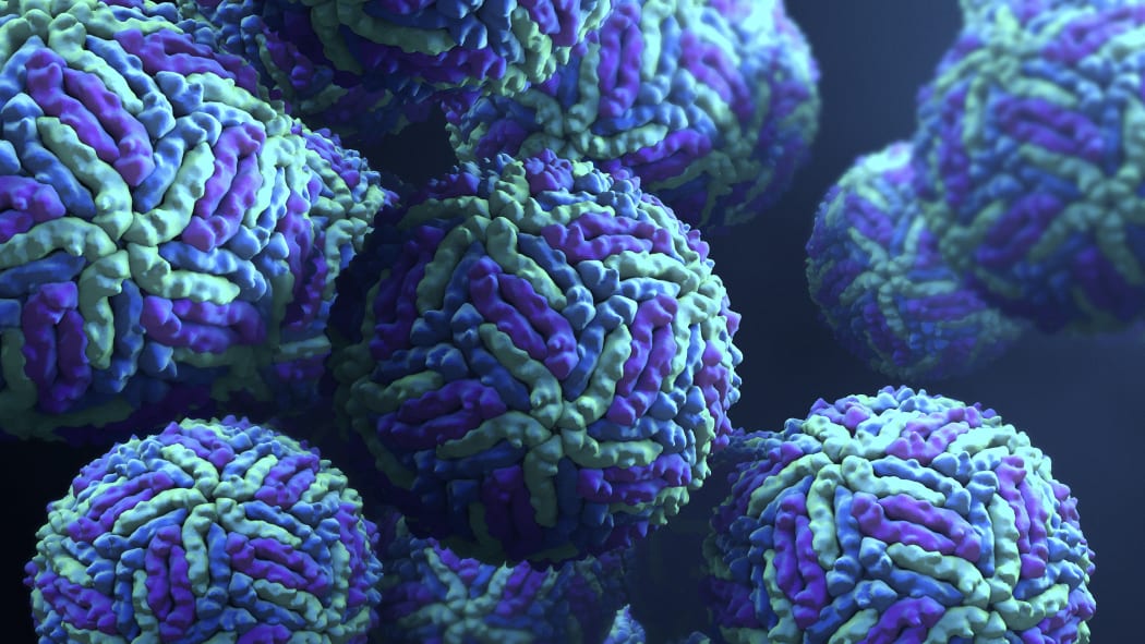 Zika virus.