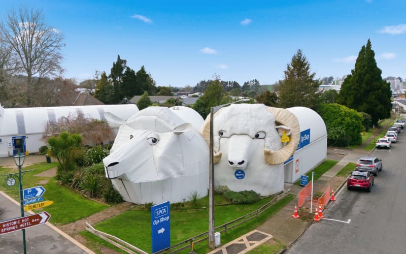 Tirau's sheepdog, ewe and ram buildings are baa-ck on the market | RNZ
