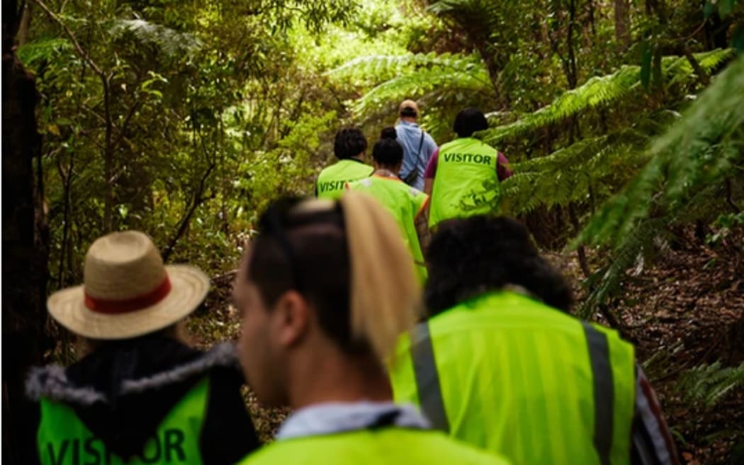 Ōmataroa Eco Tours