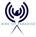Bird of Paradise