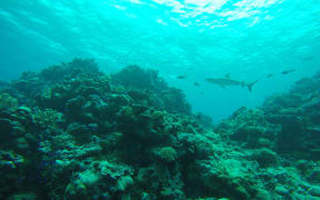 Bikini Atoll