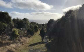 Orokonui Ecosanctuary