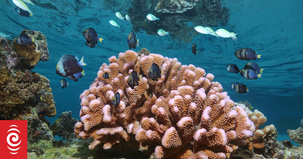 US advances offshore mineral plans in American Samoa, Northern Marianas