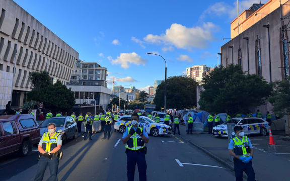 A large number of protesters on the street.