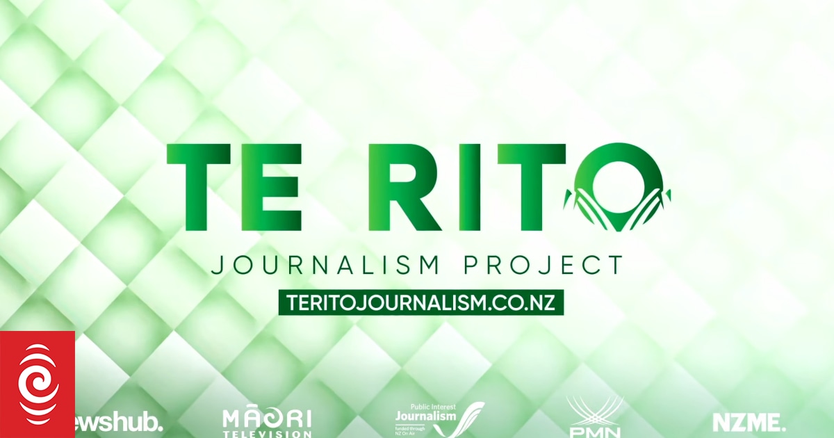 Te Rito - a new bid to boost diversity in our newsrooms | RNZ News
