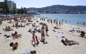 Summer in Wellington