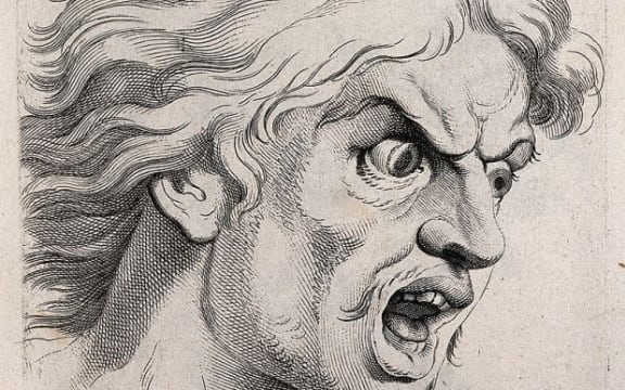 The face of a man experiencing fear. Engraving by M. Engelbrecht (?), 1732, after C. Le Brun. CC BY 4.0 Wellcome Library, London .