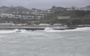 Swell; Lyall Bay; Wellington