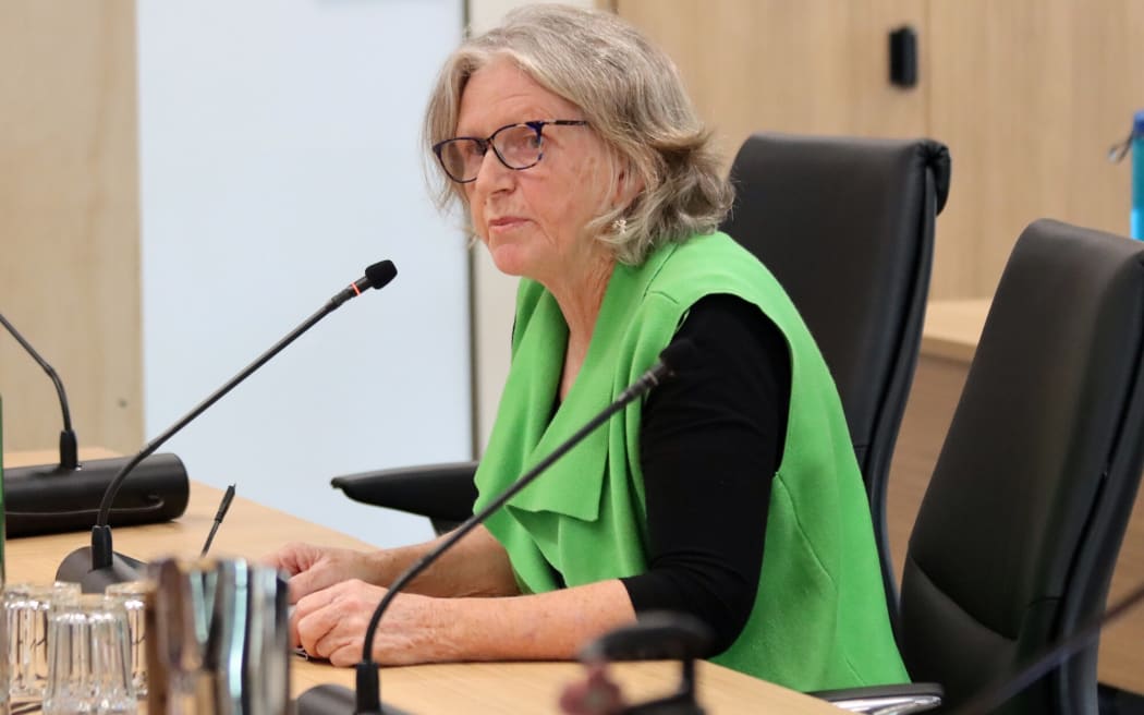Jan Gyenge at the Tauranga City Council 2025/26 annual plan hearings on May 13 2025. Held at 90 Devonport. Photo / Alisha Evans