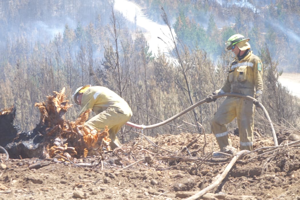 Firefighters tackle fire in Moutere North Forest in north-eastern sector of fire zone near Nelson.