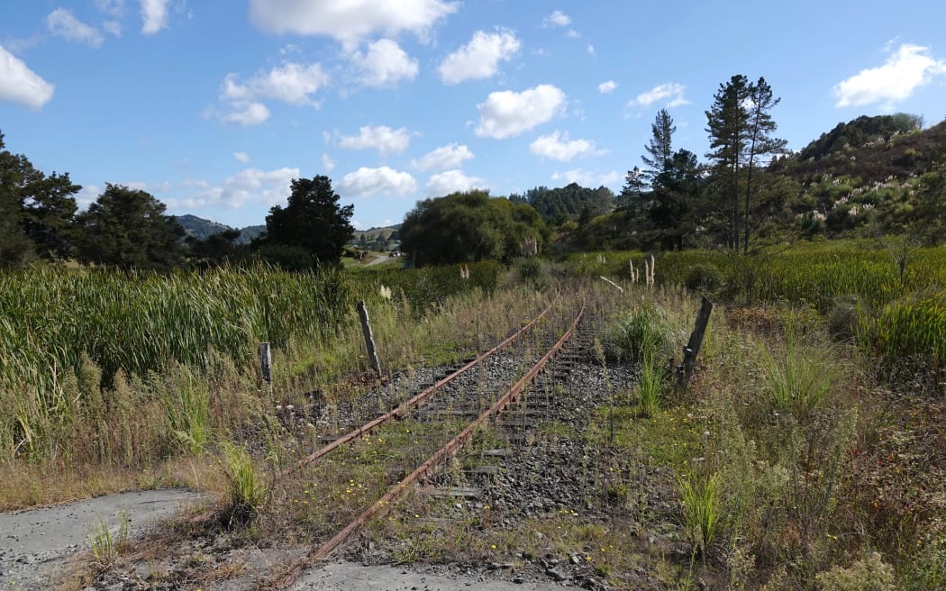 This section of Northland's railway, near Motatau, hasn't seen a train since 2016 - and plans to reopen the line are now on hold.