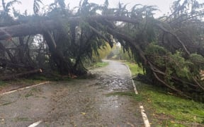A slip blocking Summit Rd, near Omahu Bush near Christchurch between Gebbies Pass and Dyers Pass Road.