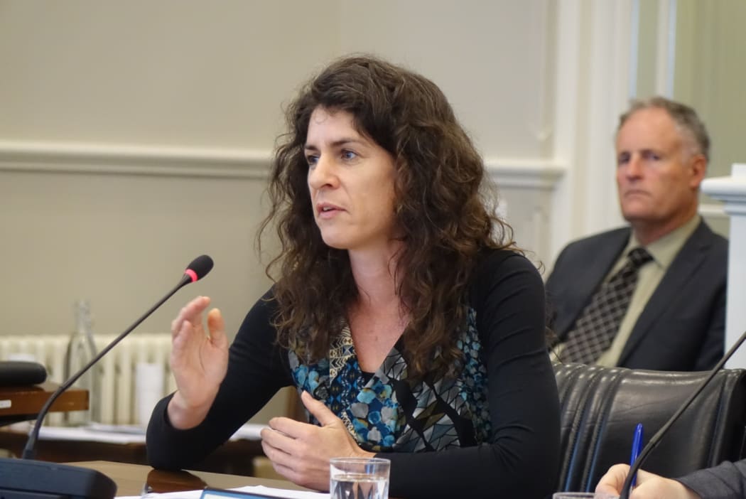 Department of Conservation fauna technical adviser Lynn Adams speaks at a hearing into the proposed Macraes mine expansion.