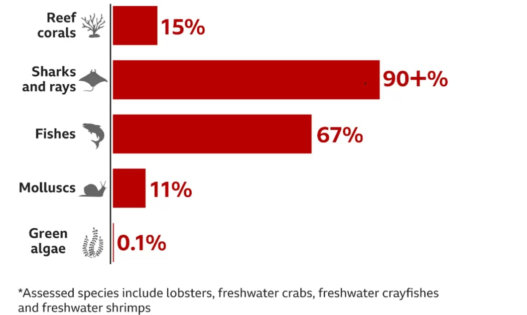 BBC graph: Global Species Extinction Threat (data source: IUCN)