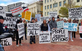 Credit: Supplied.Caption: Gisborne woman Theresa Zame delivered a 5800-strong petition to Parliament on Wednesday, protesting proposed changes to the country’s medicine laws.