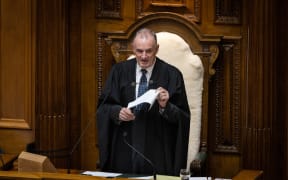 Trevor Mallard addresses the House