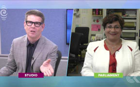 Metiria Turei takes leave to improve Te Reo: RNZ Checkpoint