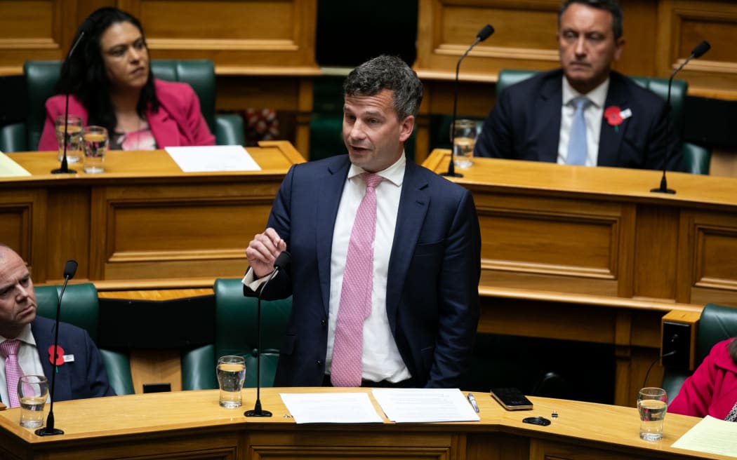 MPs speak during the second reading of the Principles of the Treaty of Waitangi Bill